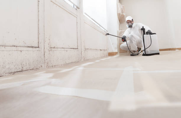 24/7 Emergency Commercial Mold Remediation experts in Lebanon, IL