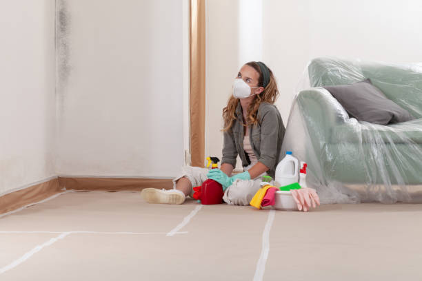 Reliable Commercial Mold Remediation contractor in Lebanon, IL by 24 Hour Mold Removal